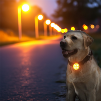 LED-Sicherheitslicht. Sichtbar bei Dunkelheit