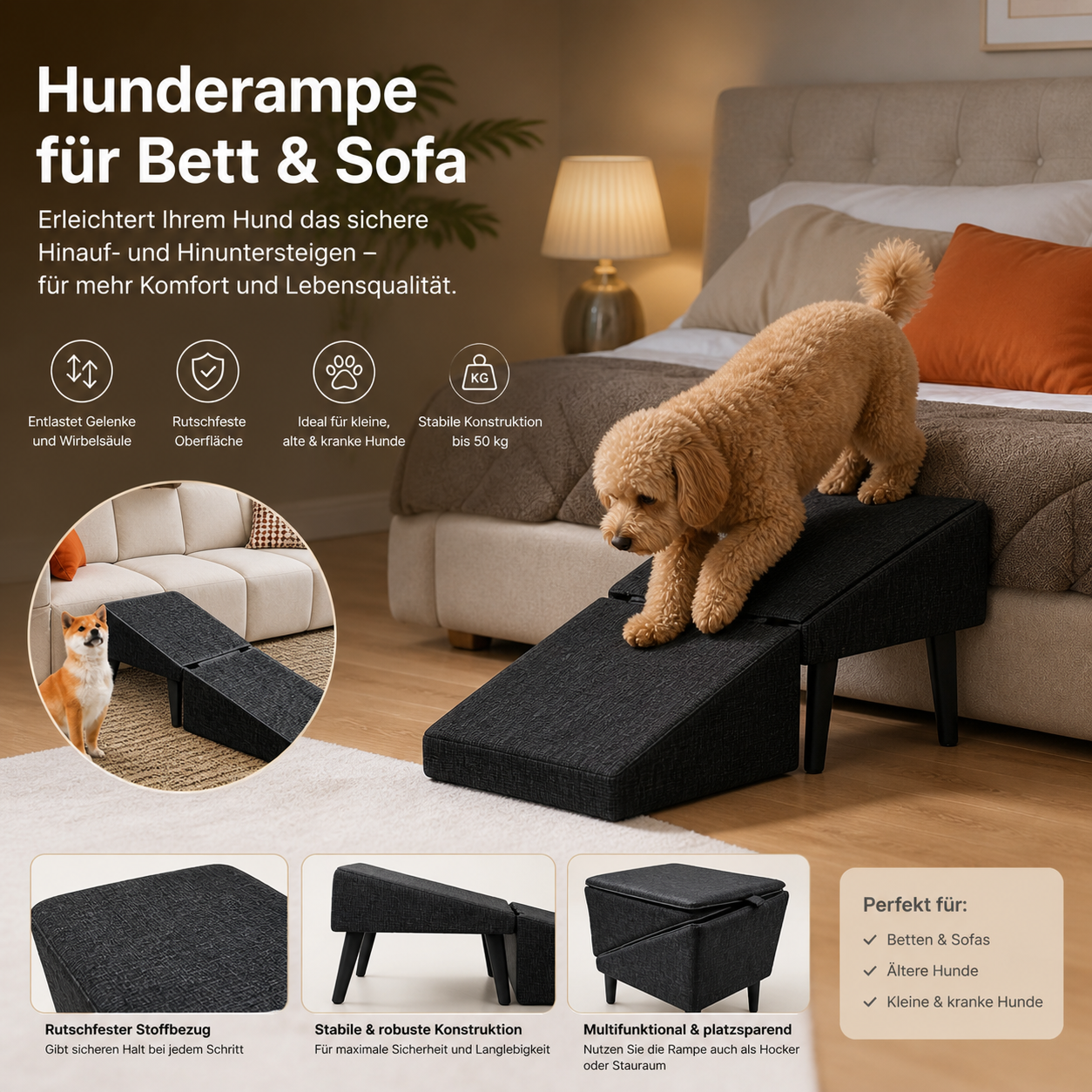 Couch Ramp. Hunderampe